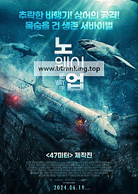 노 웨이 업 No.Way.Up.2024.1080p.KORSUB.WEBRip.H264.AAC